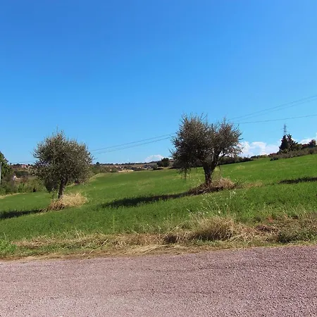 アパート Il Grifo - Bilocale In Collina Sul Mare A グラダーラ